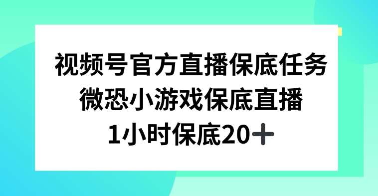 视频号直播任务,微恐小游戏,1小时20+【揭秘】网创吧-网创项目资源站-副业项目-创业项目-搞钱项目网创吧