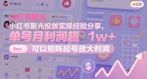 小红书聚光投放实操经验分享，单号月利润超1w+，可以矩阵起号放大利润网创吧-网创项目资源站-副业项目-创业项目-搞钱项目网创吧