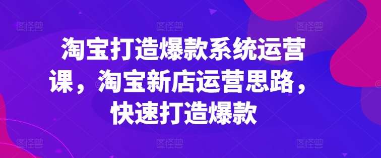 淘宝打造爆款系统运营课,淘宝新店运营思路,快速打造爆款网创吧-网创项目资源站-副业项目-创业项目-搞钱项目网创吧