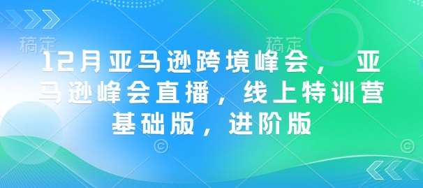 12月亚马逊跨境峰会, 亚马逊峰会直播,线上特训营基础版,进阶版网创吧-网创项目资源站-副业项目-创业项目-搞钱项目网创吧