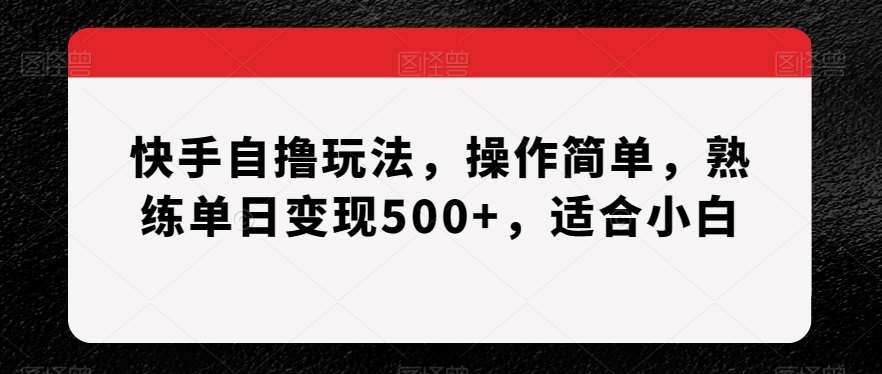 快手自撸玩法,操作简单,熟练单日变现500+,适合小白【揭秘】网创吧-网创项目资源站-副业项目-创业项目-搞钱项目网创吧