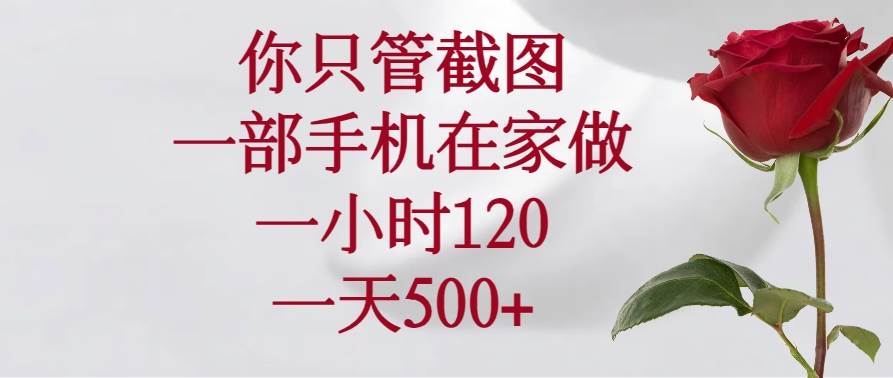 (14248期)你只管截图,一部手机在家做,一小时120,一天500+网创吧-网创项目资源站-副业项目-创业项目-搞钱项目网创吧