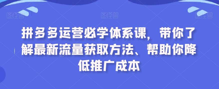 拼多多运营必学体系课，带你了解最新流量获取方法、帮助你降低推广成本网创吧-网创项目资源站-副业项目-创业项目-搞钱项目网创吧