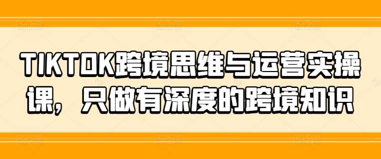 TIKTOK跨境思维与运营实操课,只做有深度的跨境知识网创吧-网创项目资源站-副业项目-创业项目-搞钱项目网创吧
