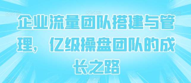 企业流量团队搭建与管理,亿级操盘团队的成长之路网创吧-网创项目资源站-副业项目-创业项目-搞钱项目网创吧
