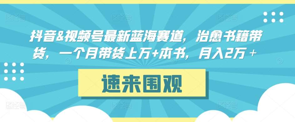 抖音&视频号最新蓝海赛道,治愈书籍带货,一个月带货上万+本书,月入2万+【揭秘】网创吧-网创项目资源站-副业项目-创业项目-搞钱项目网创吧