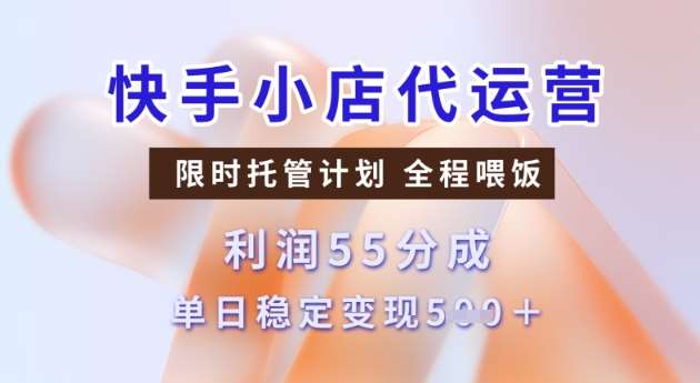 快手小店代运营3.0,模式新升级,收益55分,稳定单日5张【揭秘】网创吧-网创项目资源站-副业项目-创业项目-搞钱项目网创吧