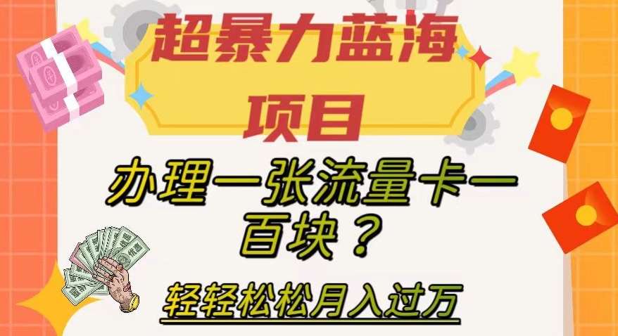 超暴力蓝海项目,办理一张流量卡一百块?轻轻松松月入过万,保姆级教程【揭秘】网创吧-网创项目资源站-副业项目-创业项目-搞钱项目网创吧