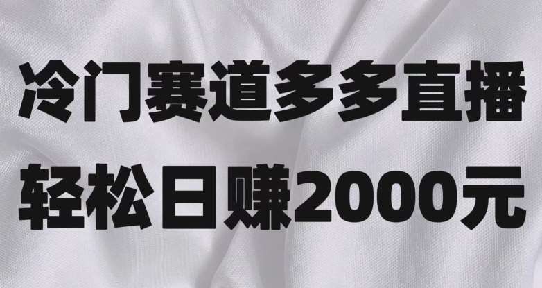 冷门赛道拼多多直播,简单念稿子,日收益2000+【揭秘】网创吧-网创项目资源站-副业项目-创业项目-搞钱项目网创吧