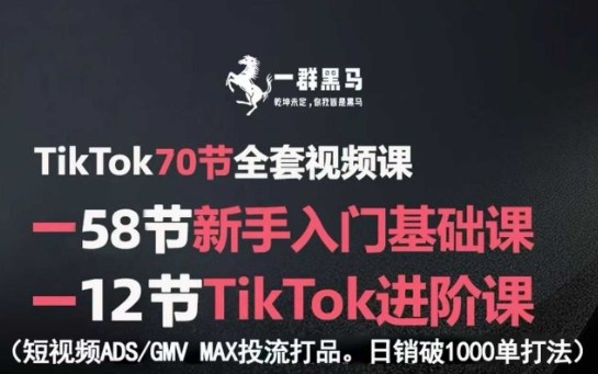 TikTok全套视频课,新手入门+进阶课,短视频ADS-GMV MAX投流打品,日销破1000单打法网创吧-网创项目资源站-副业项目-创业项目-搞钱项目网创吧