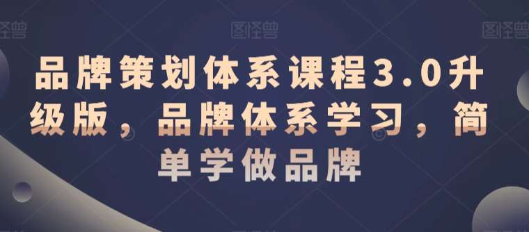 品牌策划体系课程3.0升级版，品牌体系学习，简单学做品牌网创吧-网创项目资源站-副业项目-创业项目-搞钱项目网创吧