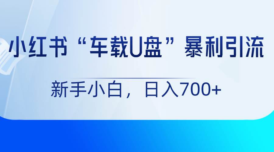 小红书“车载U盘”项目，暴利引流，新手小白轻松日入700+网创吧-网创项目资源站-副业项目-创业项目-搞钱项目网创吧