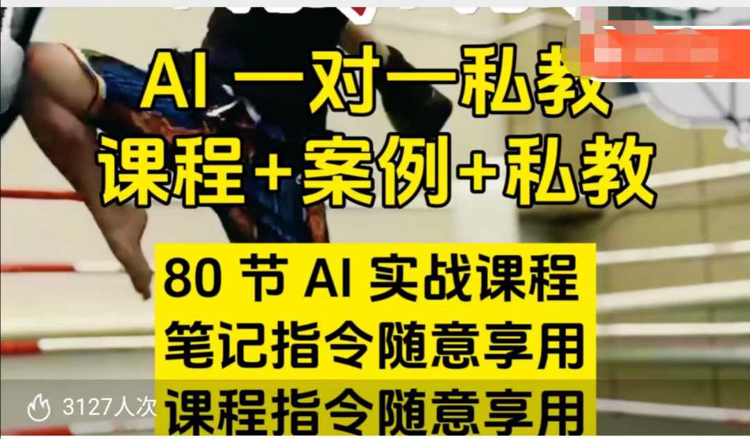 AI指令实战课,课程+案例,80节AI实战课程,笔记指令随意享用,课程指令随意享用(更新7月)网创吧-网创项目资源站-副业项目-创业项目-搞钱项目网创吧