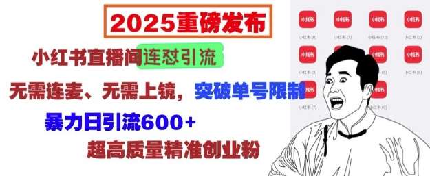 2025重磅发布:小红书直播间连怼引流,无需连麦、无需上镜,突破单号限制,暴力日引流600+网创吧-网创项目资源站-副业项目-创业项目-搞钱项目网创吧