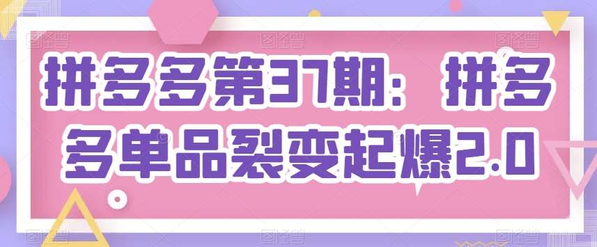 拼多多第37期:拼多多单品裂变起爆2.0网创吧-网创项目资源站-副业项目-创业项目-搞钱项目网创吧