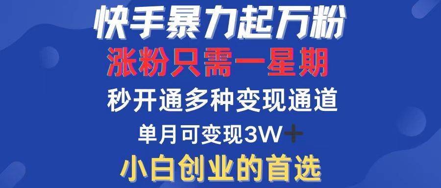 (12651期)快手暴力起万粉,涨粉只需一星期,多种变现模式,直接秒开万合,小白创...网创吧-网创项目资源站-副业项目-创业项目-搞钱项目网创吧