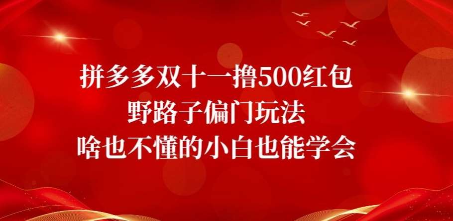 拼多多双十一撸500红包野路子偏门玩法,啥也不懂的小白也能学会【揭秘】网创吧-网创项目资源站-副业项目-创业项目-搞钱项目网创吧