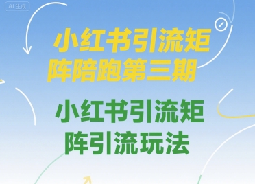 小红书引流矩阵陪跑第三期,小红书引流矩阵引流玩法网创吧-网创项目资源站-副业项目-创业项目-搞钱项目网创吧