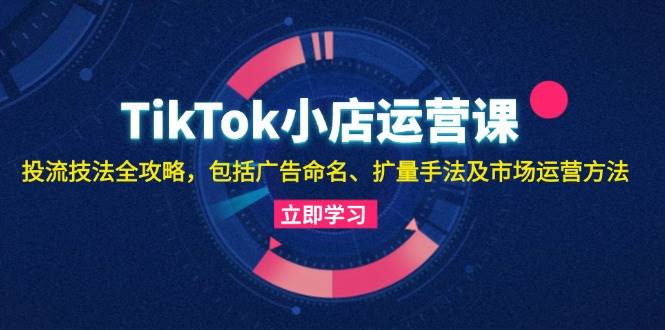 (13063期)TikTok小店运营课:投流技法全攻略,包括广告命名 扩量手法及市场运营方法网创吧-网创项目资源站-副业项目-创业项目-搞钱项目网创吧