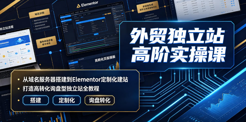 外贸独立站高阶实操课｜从域名服务器搭建到Elementor定制化建站，打造高转化询盘型独立站全教程网创吧-网创项目资源站-副业项目-创业项目-搞钱项目网创吧