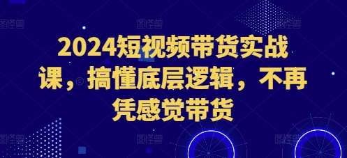 2024短视频带货实战课,搞懂底层逻辑,不再凭感觉带货网创吧-网创项目资源站-副业项目-创业项目-搞钱项目网创吧
