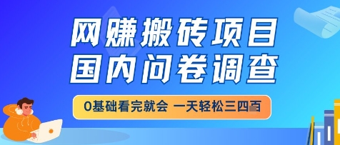 网创搬砖项目,国内问卷调查,小白轻松上手,一天三四张的也不难,干就完了【揭秘】网创吧-网创项目资源站-副业项目-创业项目-搞钱项目网创吧