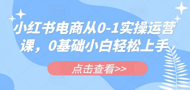 小红书电商从0-1实操运营课,0基础小白轻松上手网创吧-网创项目资源站-副业项目-创业项目-搞钱项目网创吧