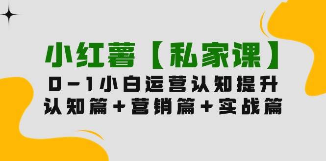 (9910期)小红薯【私家课】0-1玩赚小红书内容营销,认知篇+营销篇+实战篇(11节课)网创吧-网创项目资源站-副业项目-创业项目-搞钱项目网创吧
