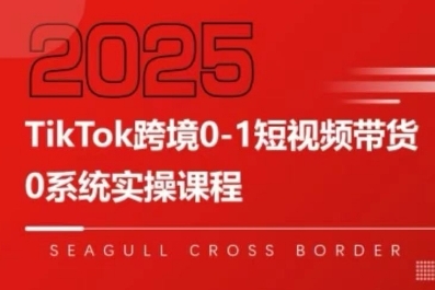 TikTok跨境0-1短视频带货,系统拆解TikTok跨境带货全链路,实现跨境可持续盈利网创吧-网创项目资源站-副业项目-创业项目-搞钱项目网创吧