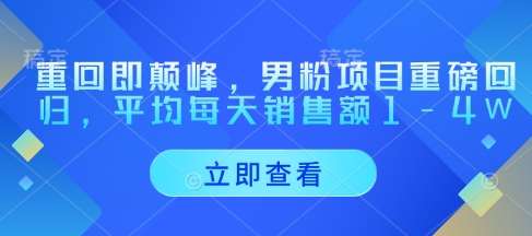 重回即颠峰,男粉项目重磅回归,平均每天销售额1-4W网创吧-网创项目资源站-副业项目-创业项目-搞钱项目网创吧