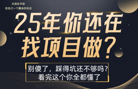 25年，你还在疯狂的找项目吗？别傻了，看完这个你都懂了【揭秘】网创吧-网创项目资源站-副业项目-创业项目-搞钱项目网创吧