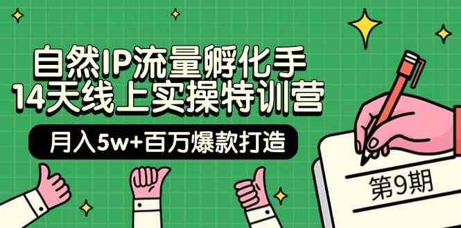 自然IP流量孵化手14天线上实操特训营【第9期】月入5w+百万爆款打造 (74节)网创吧-网创项目资源站-副业项目-创业项目-搞钱项目网创吧