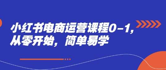 小红书电商运营课程0-1,从零开始,简单易学网创吧-网创项目资源站-副业项目-创业项目-搞钱项目网创吧