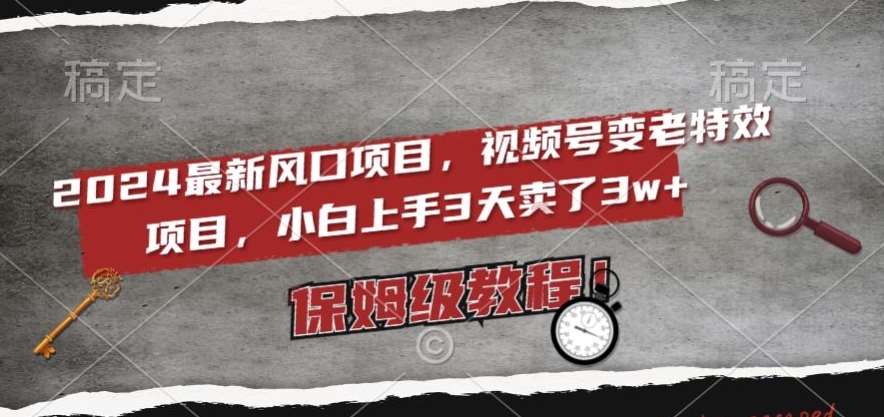 2024最新风口项目,视频号变老特效项目,电脑小白上手3天卖了3w+,保姆级教程【揭秘】网创吧-网创项目资源站-副业项目-创业项目-搞钱项目网创吧