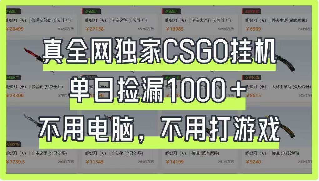 真全网独家CSGO挂机，单日捡漏1000+，不用电脑，不用养号网创吧-网创项目资源站-副业项目-创业项目-搞钱项目网创吧