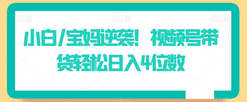 小白/宝妈逆袭!视频号带货轻松日入4位数【揭秘】网创吧-网创项目资源站-副业项目-创业项目-搞钱项目网创吧