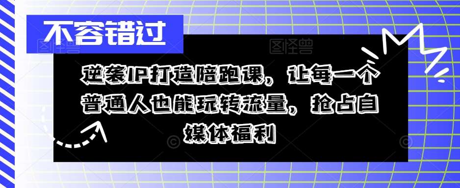 逆袭IP打造陪跑课,让每一个普通人也能玩转流量,抢占自媒体福利网创吧-网创项目资源站-副业项目-创业项目-搞钱项目网创吧