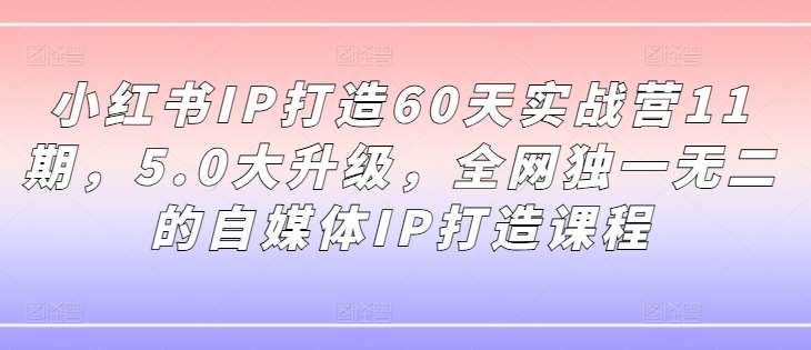 小红书IP打造60天实战营11期,5.0大升级,全网独一无二的自媒体IP打造课程网创吧-网创项目资源站-副业项目-创业项目-搞钱项目网创吧