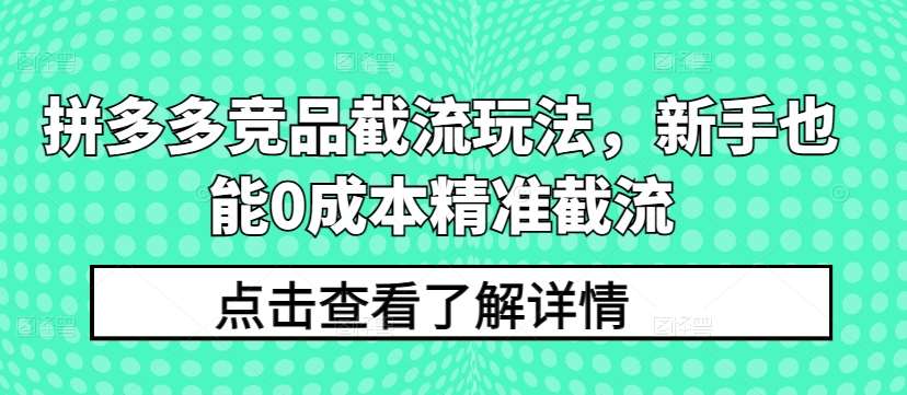 拼多多竞品截流玩法，新手也能0成本精准截流网创吧-网创项目资源站-副业项目-创业项目-搞钱项目网创吧