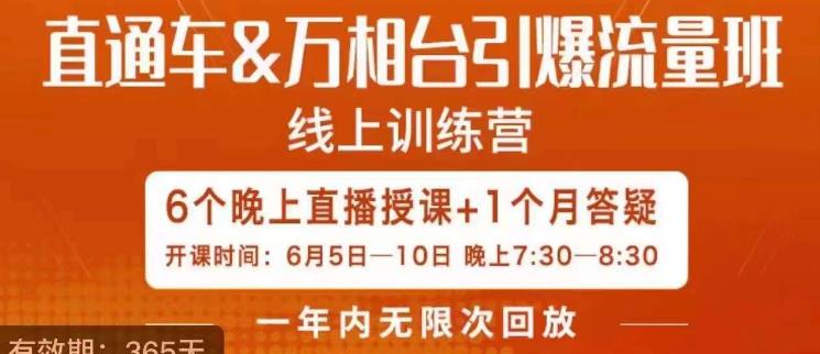 直通车&万相台引爆流量班,6天打通你开直通车·万相台的任督二脉网创吧-网创项目资源站-副业项目-创业项目-搞钱项目网创吧