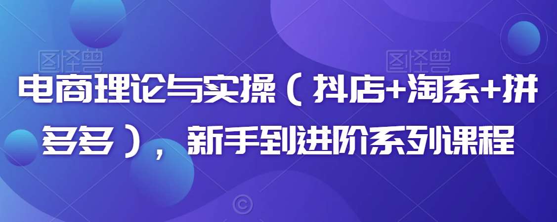 电商理论与实操(抖店+淘系+拼多多),新手到进阶系列课程网创吧-网创项目资源站-副业项目-创业项目-搞钱项目网创吧