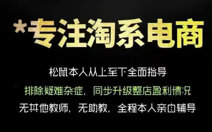 松鼠会电商VIP课程,从基础布局到高阶优化,助你掌握淘宝运营逻辑,提升店铺流量与转化网创吧-网创项目资源站-副业项目-创业项目-搞钱项目网创吧