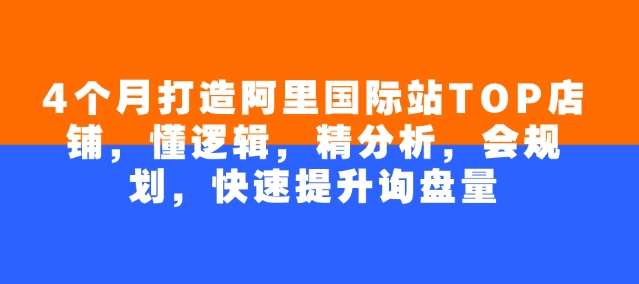 4个月打造阿里国际站TOP店铺,懂逻辑,精分析,会规划,快速提升询盘量网创吧-网创项目资源站-副业项目-创业项目-搞钱项目网创吧