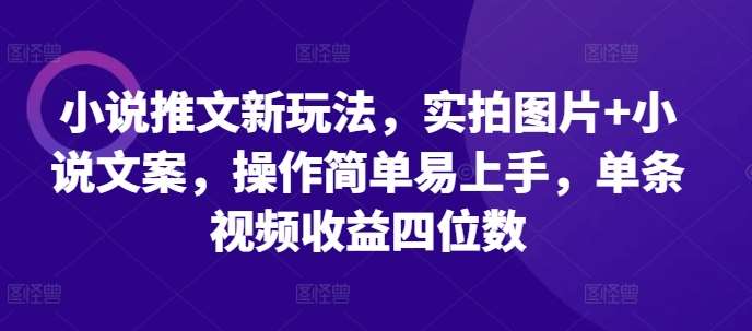 小说推文新玩法,实拍图片+小说文案,操作简单易上手,单条视频收益四位数网创吧-网创项目资源站-副业项目-创业项目-搞钱项目网创吧