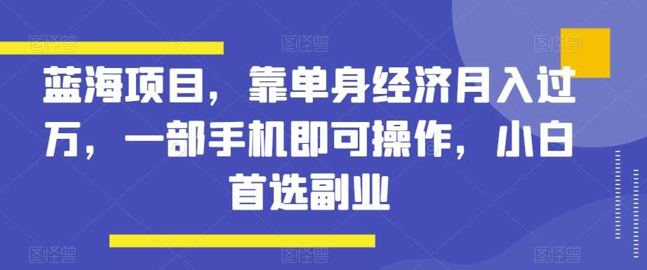 蓝海项目,靠单身经济月入过万,一部手机即可操作,小白首选副业【揭秘】网创吧-网创项目资源站-副业项目-创业项目-搞钱项目网创吧