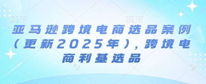 亚马逊跨境电商选品案例(更新2025年),跨境电商利基选品网创吧-网创项目资源站-副业项目-创业项目-搞钱项目网创吧