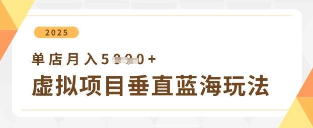 虚拟项目垂直玩法,实现单店月入5k+网创吧-网创项目资源站-副业项目-创业项目-搞钱项目网创吧