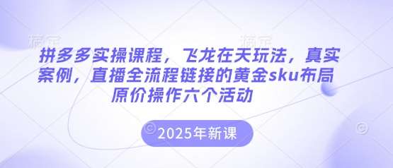拼多多实操课程,飞龙在天玩法,真实案例,直播全流程链接的黄金sku布局原价操作六个活动网创吧-网创项目资源站-副业项目-创业项目-搞钱项目网创吧