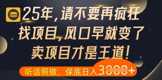 什么?25年你还在疯狂找项目做,醒醒吧,看完这些你全都懂了【揭秘】网创吧-网创项目资源站-副业项目-创业项目-搞钱项目网创吧