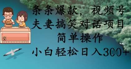 条条爆款,视频号夫妻搞笑对话项目,简单操作,小白轻松日入3张+网创吧-网创项目资源站-副业项目-创业项目-搞钱项目网创吧